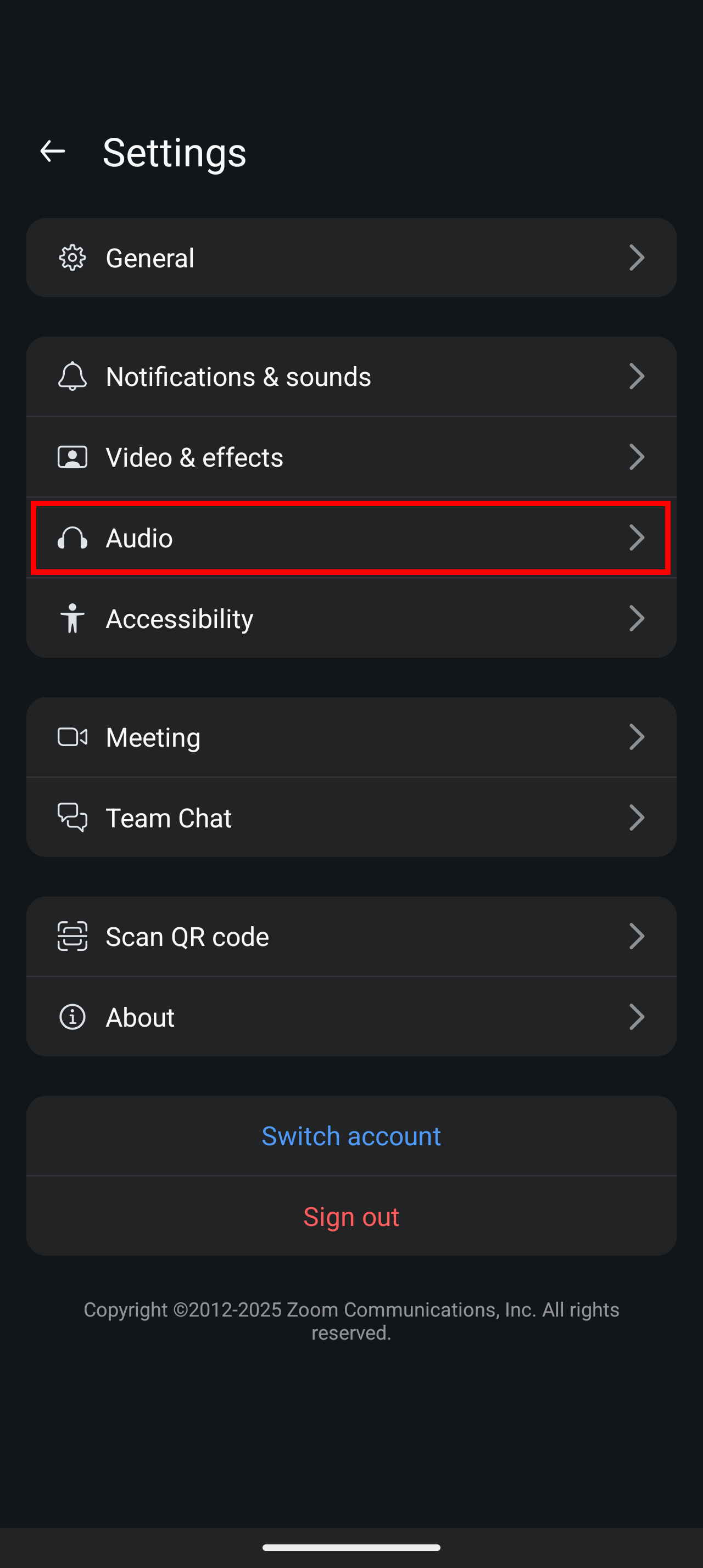 Screenshot highlighting the Audio option within settings
